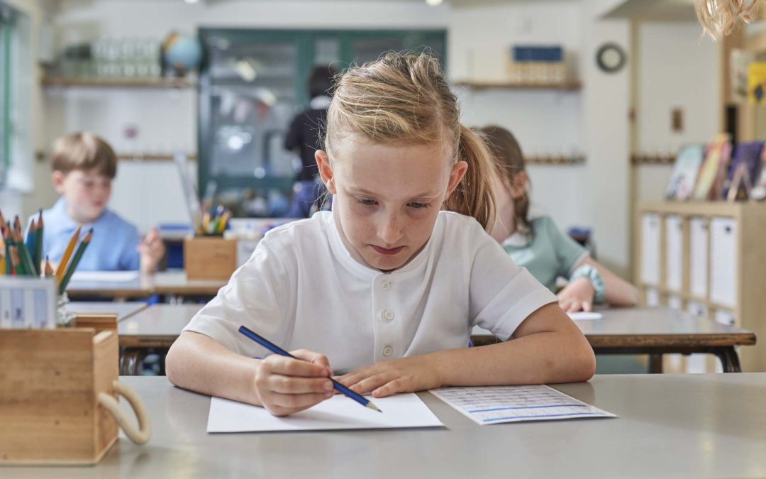 How to Choose the Right 11+ Revision Books for Your Child?